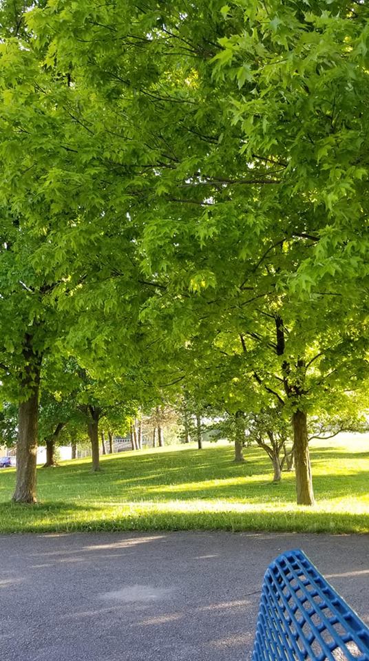 41309107_10156340715465791_1421866622901026816_n